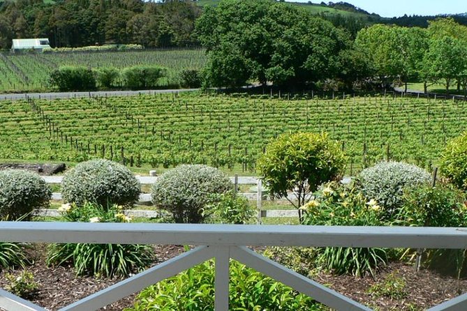 Auckland Shore Excursion: West Coast Wineries Tour - Customer Experiences
