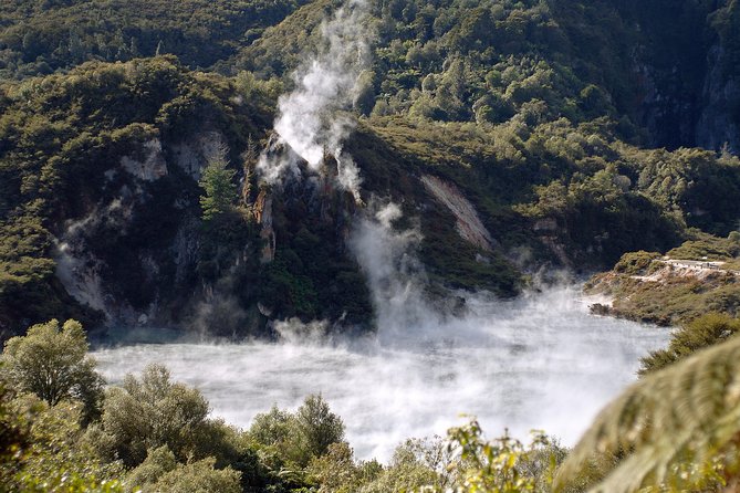 Auckland to Rotorua Private Tour - Accessibility Features