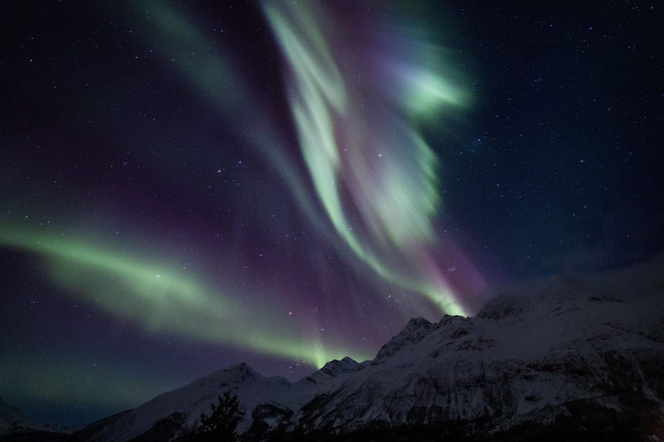 Aurora With Campfire - Boukersen Heim Guests Only - Whats Included in the Tour