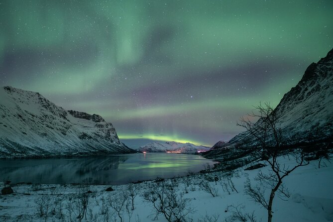 Auroras Hunt - Tour in Spanish, Northern Lights Chase in Spanish - Booking Information