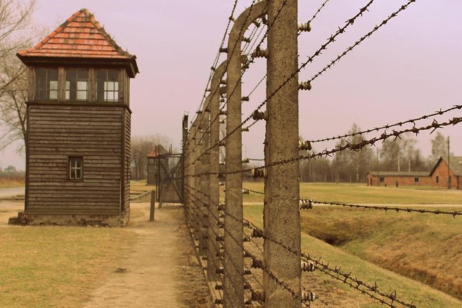 Auschwitz Small Group Tour From Warsaw With Lunch - Accessibility