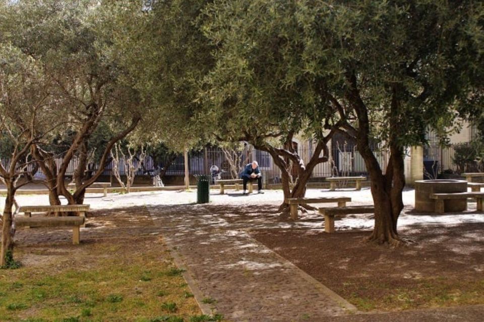 Avignon: Emblematic Squares Tour - Historical Significance