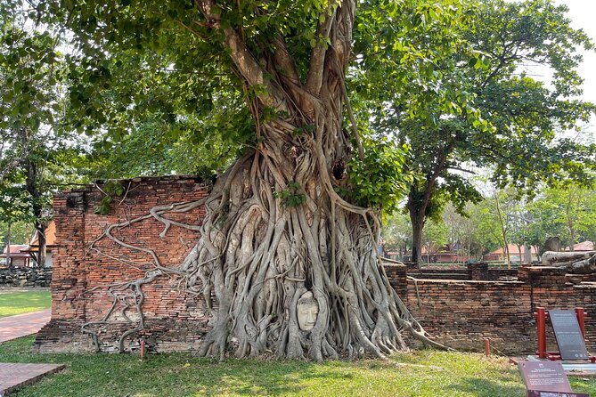 Ayutthaya Historical Old Capital Tour From Bangkok - Cultural Insights During the Tour