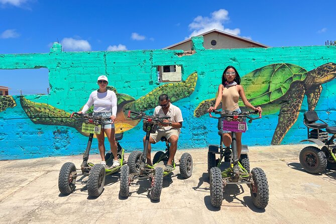 Baby Beach and San Nicolas Art Murals Private EZ Raider Adventure - Customer Feedback