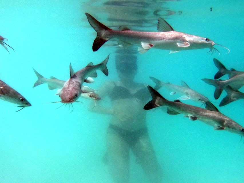 Bacalar: Magnificent Bacalar Lagoon Exclusive Boat Tour - Inclusions