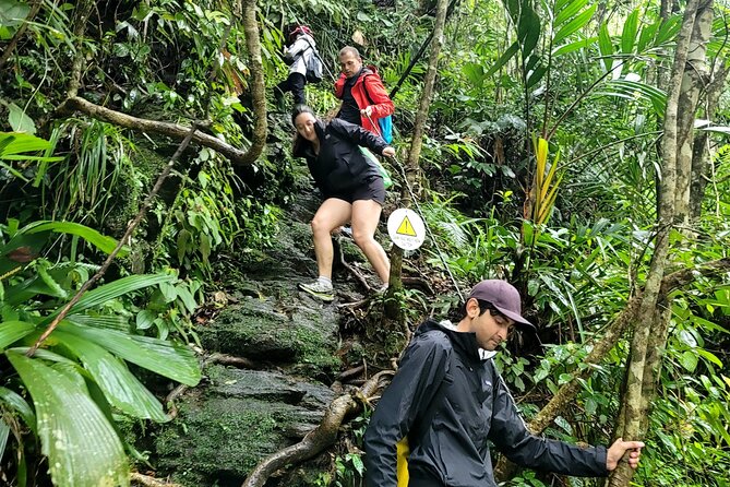 Bach Ma National Park Trekking Daily Tour From Hue - Learning About Bach Mas History