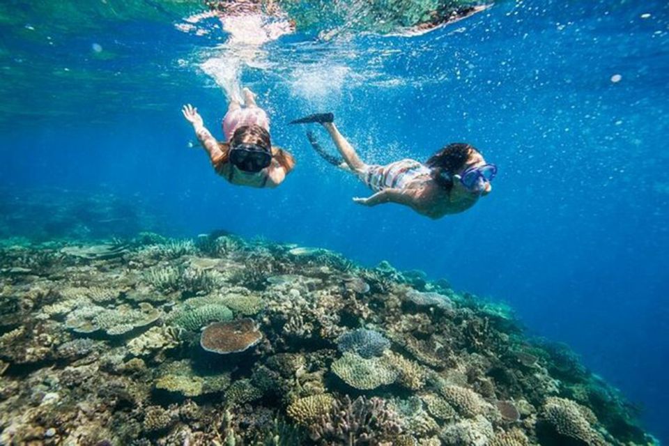 Bali: Blue Lagoon Beach Snorkeling Tour With Lunch - Pickup and Dropoff