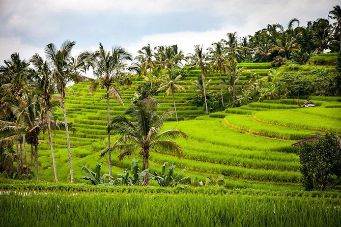 Bali Cheap Tour Packages 3 Days - Accessibility Features