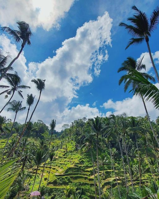 Bali Escapade:Ubud Waterfall and Rice Terrace Wonders - Lunch at Local Restaurant