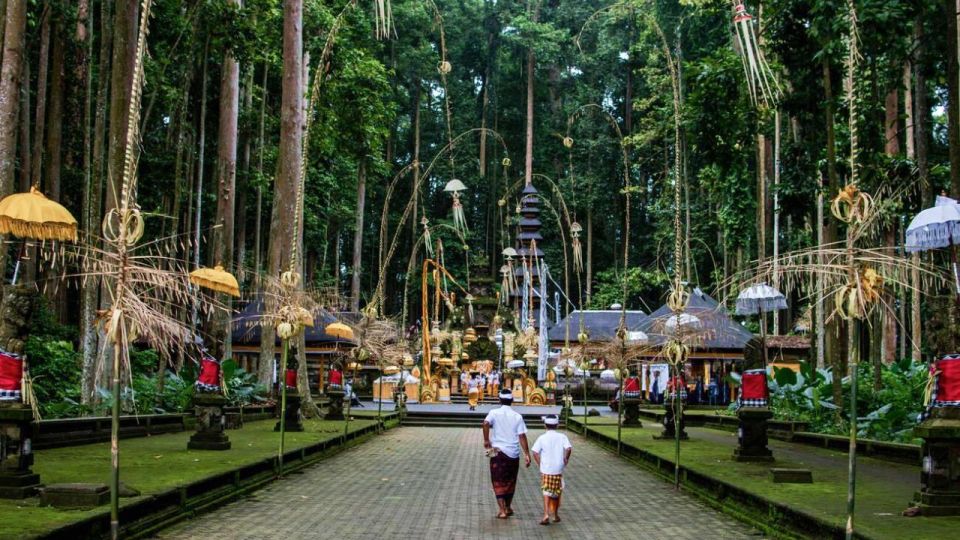 Bali Explorer: Tailored Adventures With Private Driver - Lush Countryside and Waterfalls