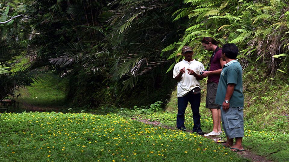 Bali: Half-Day Bayad Eco Hike - Dining With a Valley View