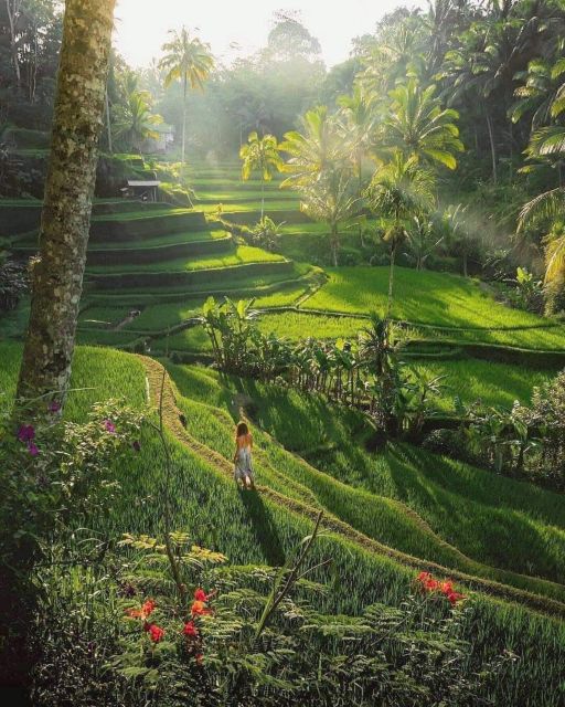 Bali : Highlight of Ubud Culture, Temple and Batur Volcano - Tegalalang Rice Terraces: Witness Centuries-Old Farming Legacy