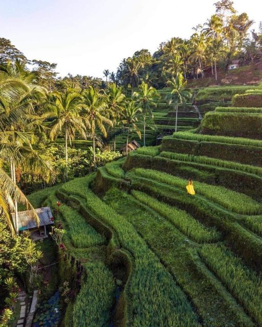 Bali: Highlights Besakih Temple, Waterfall and Rice Terrace - Frequently Asked Questions