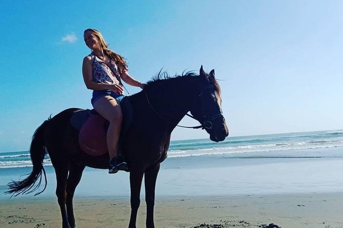 Bali Horse Riding in Seminyak Beach Private Experiance - Customer Reviews and Ratings