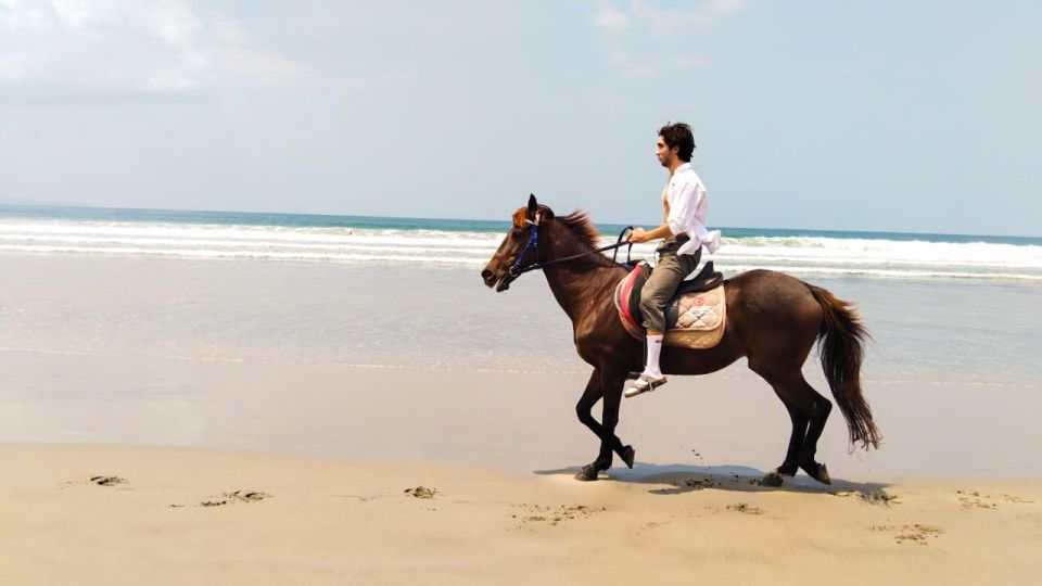 Bali: Horse Riding Tour on Seminyak Beach Include Transport - Inclusions