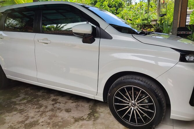 Bali Private Car and Customize Tour With English Speaking Driver - Accessibility Features