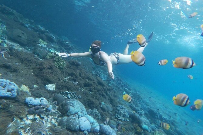 Bali Private Snorkeling (Manta, Sea Cucumber, Crystal) and Nusa Penida Tour - Cancellation Policy Details