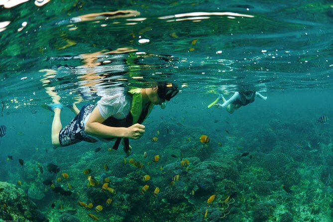 Bali Reef Cruise and Lembongan Island Day Trip - Customer Reviews and Ratings