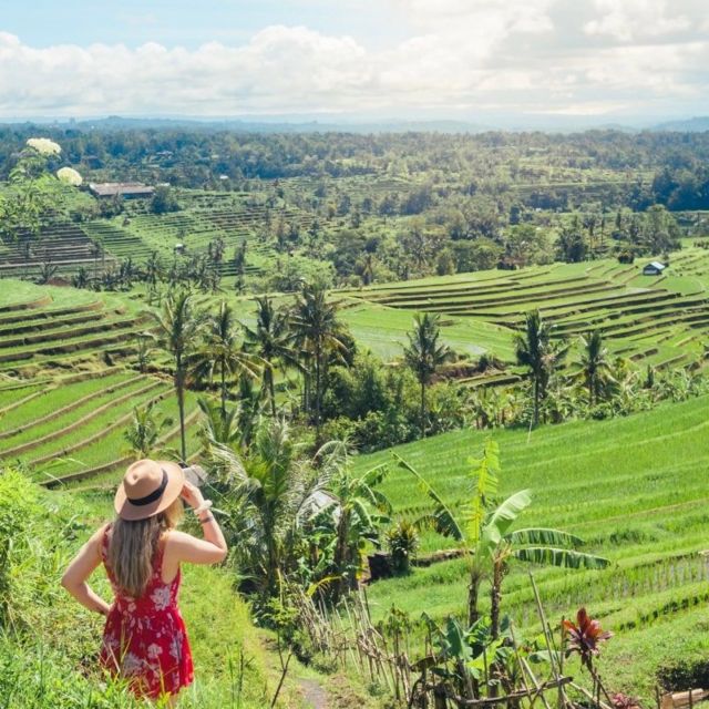 Bali: Tanah Lot, Nung Nung Waterfall, Jatiluwih, and Bedugul - Ulun Danu Bratan Temple