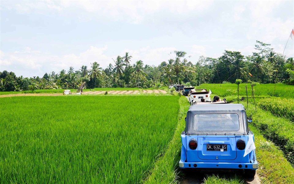 Bali: Vintage VW Jeep Countryside Safari - Important Considerations for Travelers