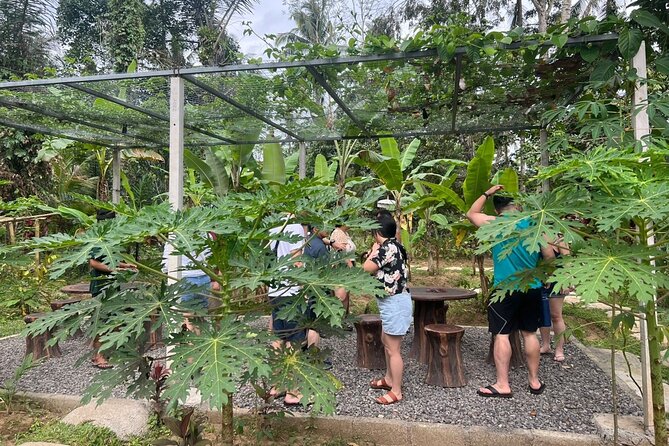 Balinese Cooking Class With Traditional Market Tour - Balinese Cooking Techniques