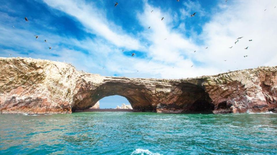 Ballestas Islands & Paracas National Reserve From Paracas - Recommendations for Visitors