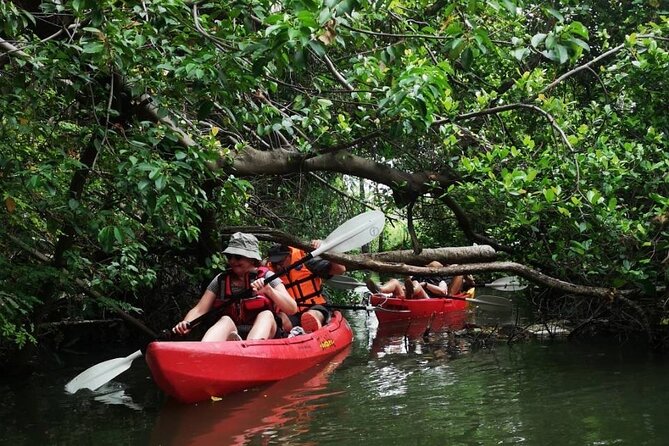 Bangkok Tour by Boat and Bike - Traveler Feedback