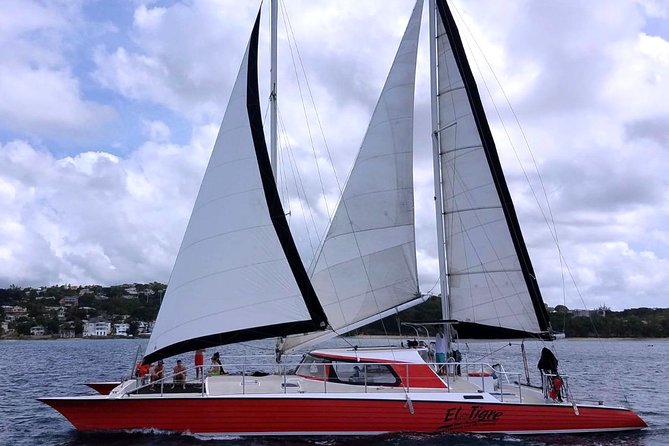 Barbados Catamaran Turtle and Shipwreck Snorkeling Cruise - Accessibility and Participation