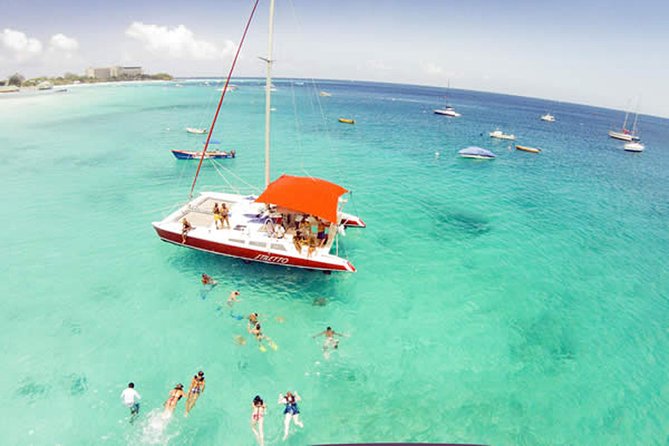 Barbados Catamaran Turtle Snorkel With Open Bar - Booking Process and Pricing