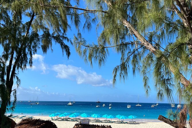 Barbados Shore Excursion Snorkel Cruise and Beach Day - Important Information for Travelers