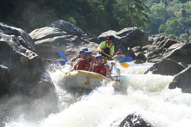 Barron River Half-Day White Water Rafting From Cairns - Scenic Highlights of the Journey