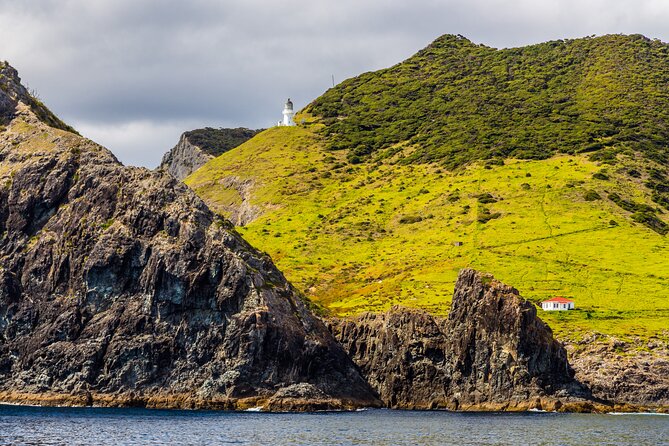 Bay of Islands Cruise & Island Tour - Snorkel, Hike,Swim,Wildlife - Accessibility Features