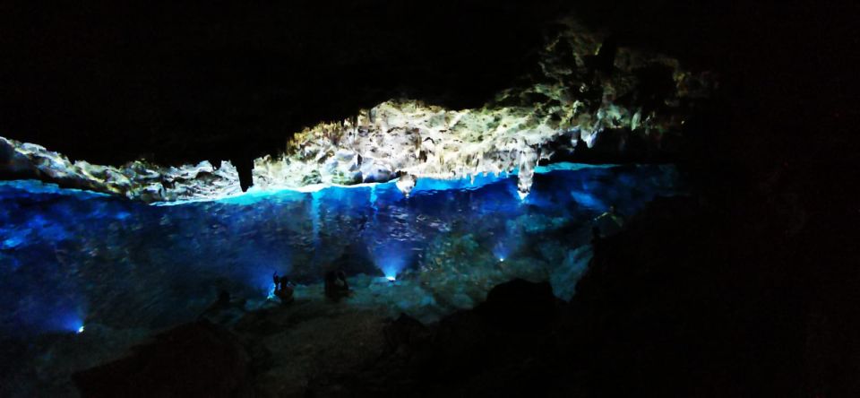 Bayahibe: National Park Jungle Walk & Snorkeling in Cenotes - Revitalizing Drink