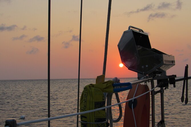 BBQ & Sunset Tour - Snorkeling Adventure