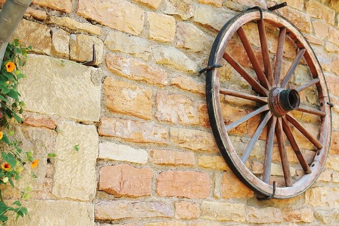 Beaujolais Half Day - Accessibility Features