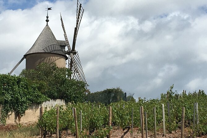 Beaujolais Wine Tasting Day Tour From Lyon - Transportation and Logistics