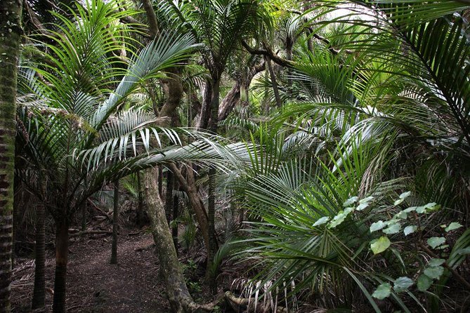Beautiful Nature Tours Auckland - Private Tour - Booking and Cancellation Policy