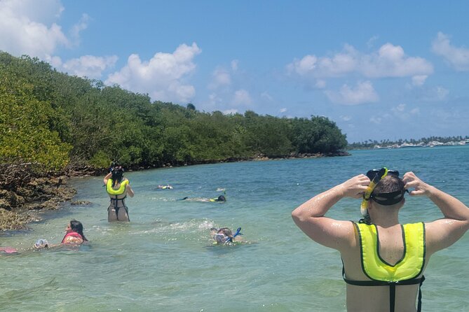 Beginner Friendly Island Snorkeling - What to Expect During the Tour