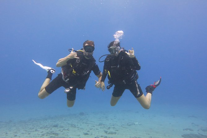 Beginner Scuba Dive in Lahaina (Swimming Ability Required) - What to Expect During the Dive