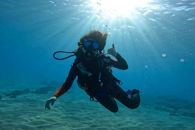 Beginner Scuba Experience With Free Video Package - Honolulu - Accessibility Information