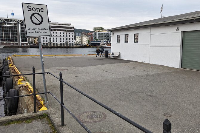 Bergen Fjord Experience Aboard Viking-style Ship - Accessibility Considerations