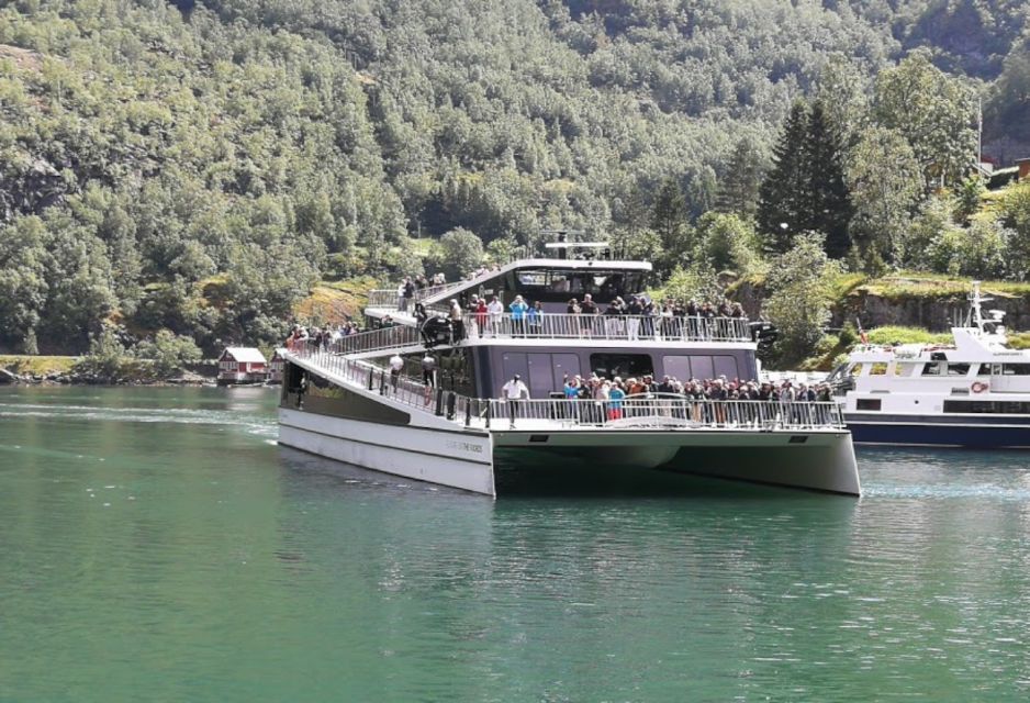 Bergen: Nærøyfjord Cruise and Flåm Railway to Oslo - Customer Reviews