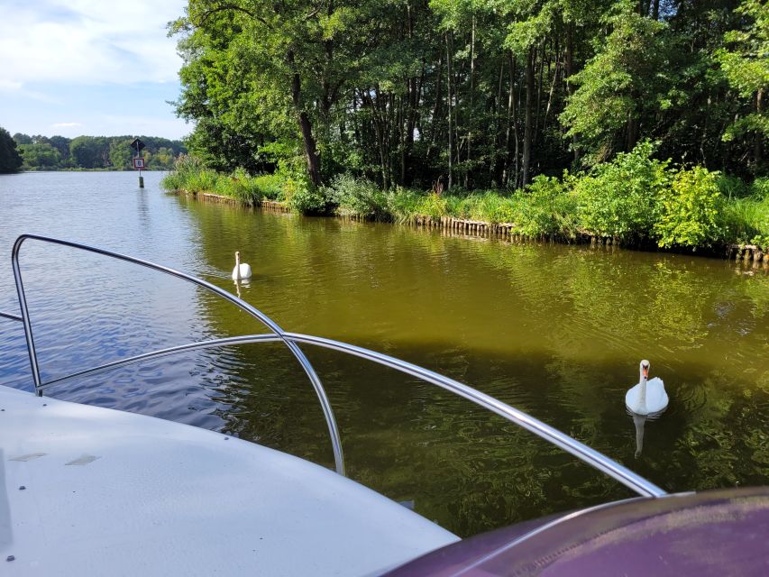Berlin:Guided South Berlin Yacht Tour With Swim Stop (Relax) - Important Information