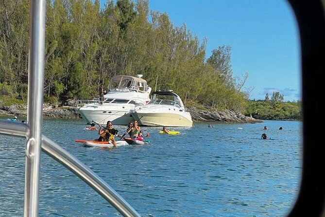 Bermuda Private Catamaran:Snorkeling, Shipwrecks & Cliff Jumping - Customer Testimonials and Reviews