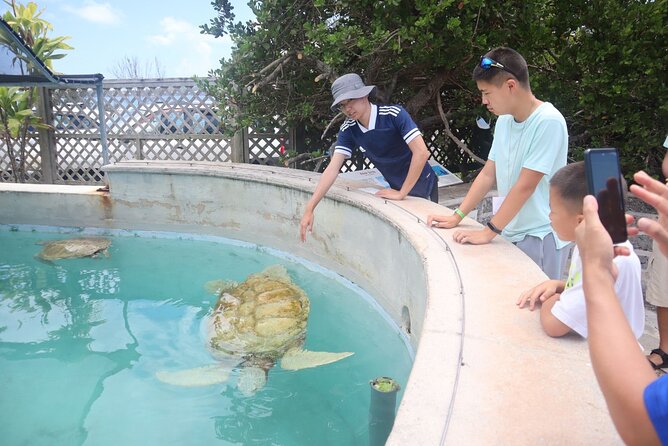 Bermudaful Half Island Tour - Pricing and Booking Details
