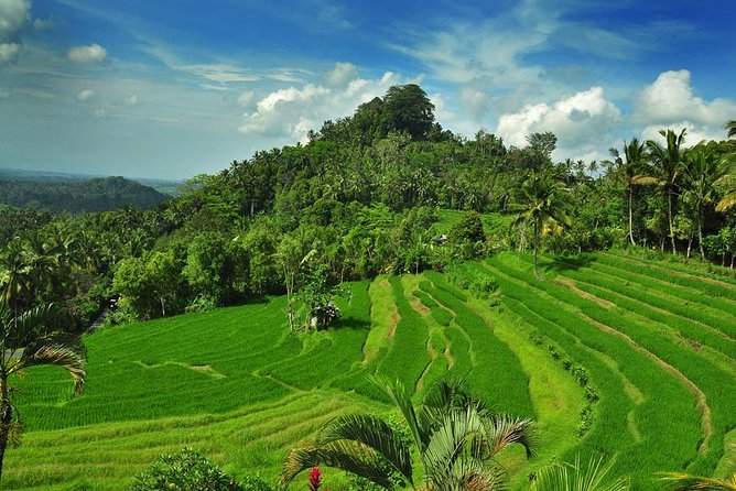 Besakih Temple Tour - Mother Temple in Bali - Important Travel Information