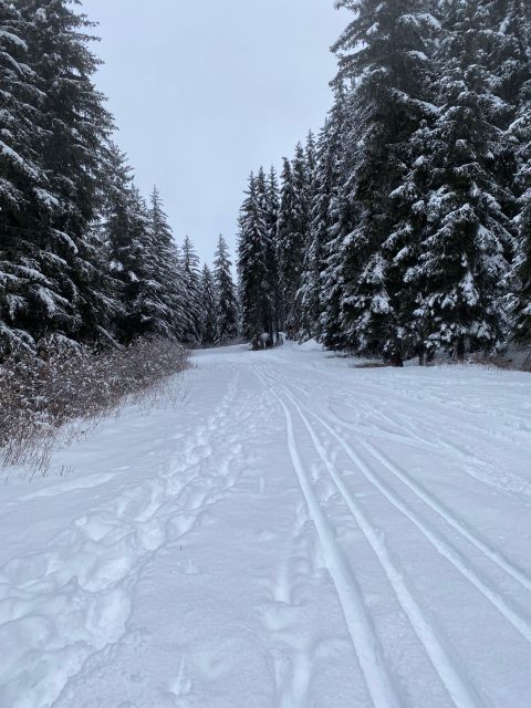 Bespoke Private Megève Experience - Activities Offered