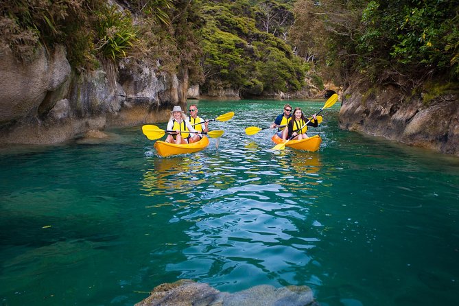 Best Abel Tasman Day Trip - Customer Feedback Highlights