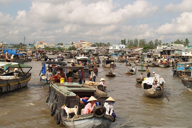 Best Mekong Delta Bike Tour - Requirements and Restrictions