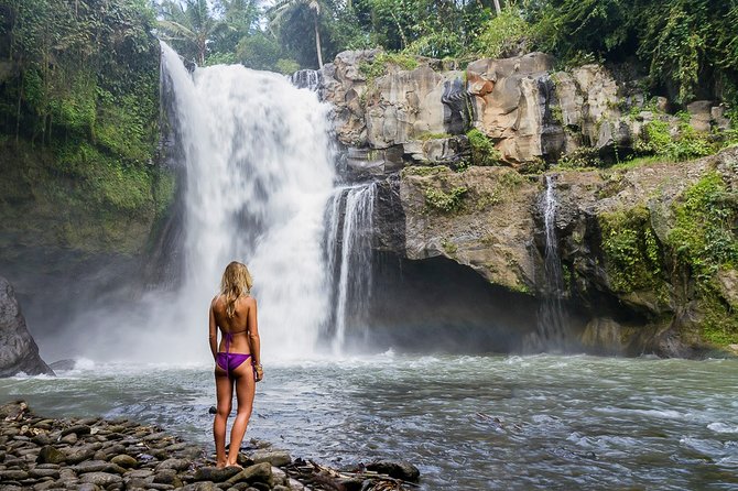 Best of Central Bali: Waterfall, Elephant Cave & Rice Fields - Discovering the Rice Fields